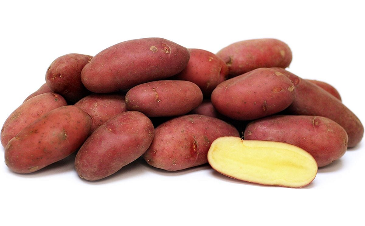 FRENCH FINGERLING