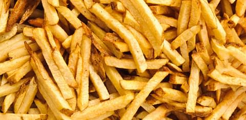 A German company that will produce French Fries in Zambia is expected to commence operations this year