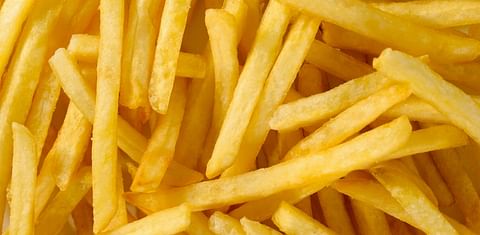 American Lorain Announces First Batch of Own-brand French Fries Now Ready for Delivery