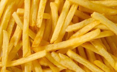 American Lorain Announces First Batch of Own-brand French Fries Now Ready for Delivery American Lorain Announces First Batch of Own-brand French Fries Now Ready for Delivery