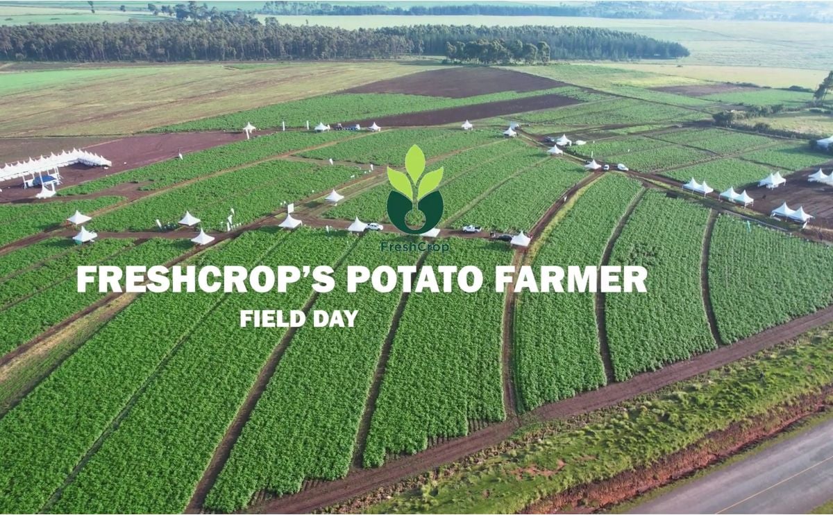 Freshcrop's Potato Farmer Field Day Highlights Freshcrop's Potato Farmer Field Day Highlightsh