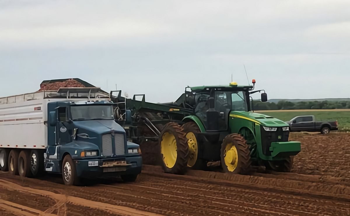 Red potato harvest in Pearsall, TX (Courtesy: FreshPlaza)