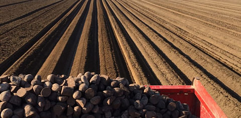 United Potato Growers of Canada announced welcome of re-joining members