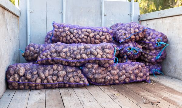Potato producer Albert Bartlett sees profits grow 67% after TV star's ads
