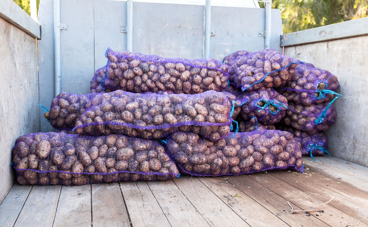 España: acusan a distribuidores por complotar contra la producción nacional España: acusan a distribuidores por complotar contra la producción nacional
