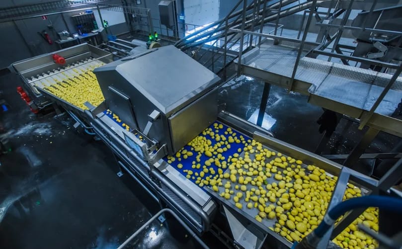 Potatoes move through a processing line developed by Kiremko, Idaho Steel and Reyco, where advanced engineering technologies transform raw potatoes into products such as French fries