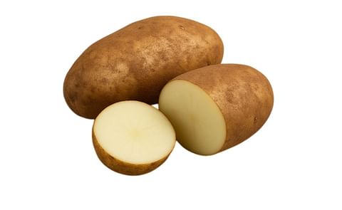 FRONTIER RUSSET FRONTIER RUSSET