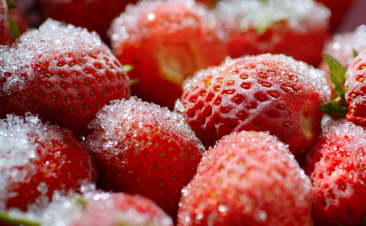 AFFI Frozen Food Convention Matches Attendance Record AFFI Frozen Food Convention Matches Attendance Record