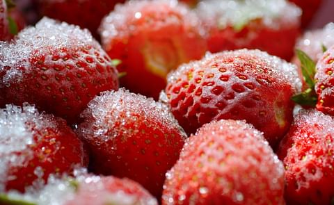 AFFI Frozen Food Convention Matches Attendance Record AFFI Frozen Food Convention Matches Attendance Record
