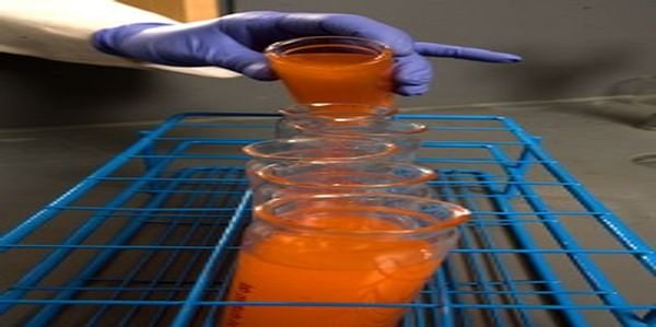  Fructose syrup may contribute to obesity