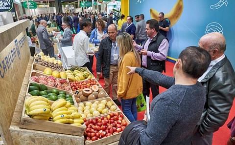 La Feria se posiciona como el primer gran reencuentro e instrumento sectorial para la comercialización internacional de productos y servicios de toda la cadena de valor del sector hortofrutícola. La Feria se posiciona como el primer gran reencuentro e instrumento sectorial para la comercialización internacional de productos y servicios de toda la cadena de valor del sector hortofrutícola.