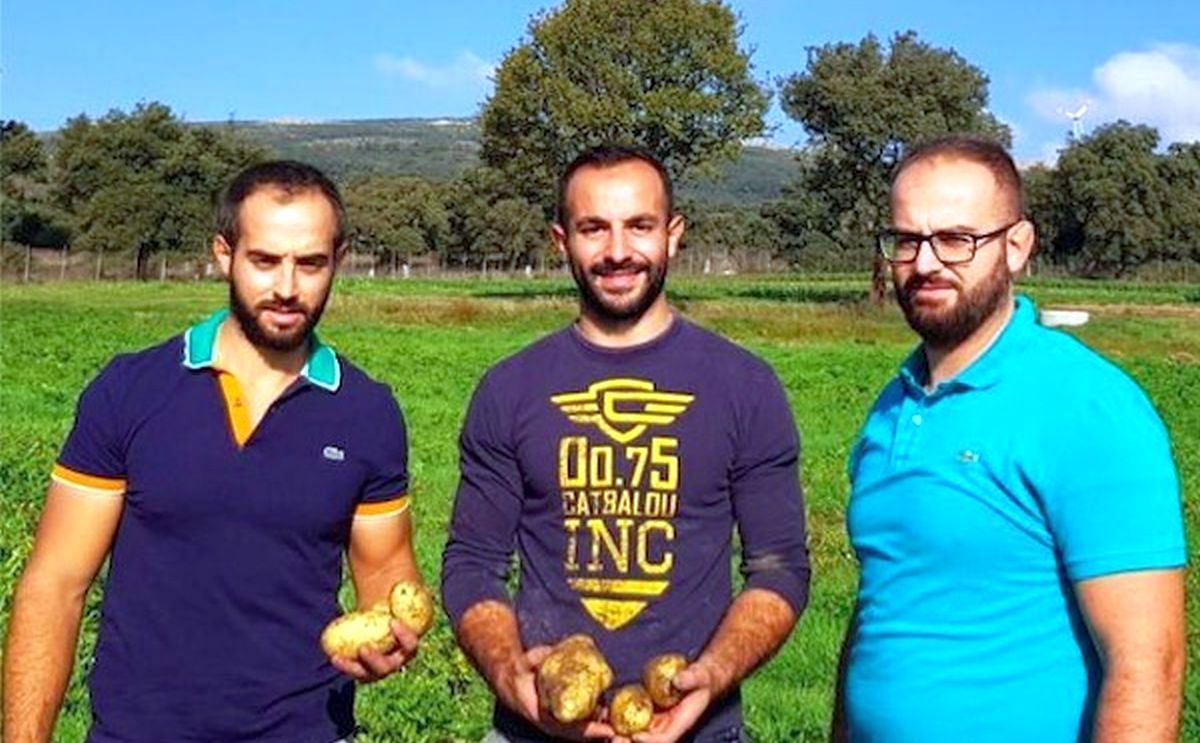 Sardinian mountain potatoes now served in chocolate Sardinian mountain potatoes now served in chocolate