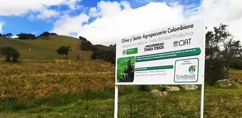 Colombia: Siete beneficios de la agricultura de conservación en el cultivo de la papa