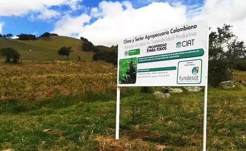 Colombia: Siete beneficios de la agricultura de conservación en el cultivo de la papa Colombia: Siete beneficios de la agricultura de conservación en el cultivo de la papa