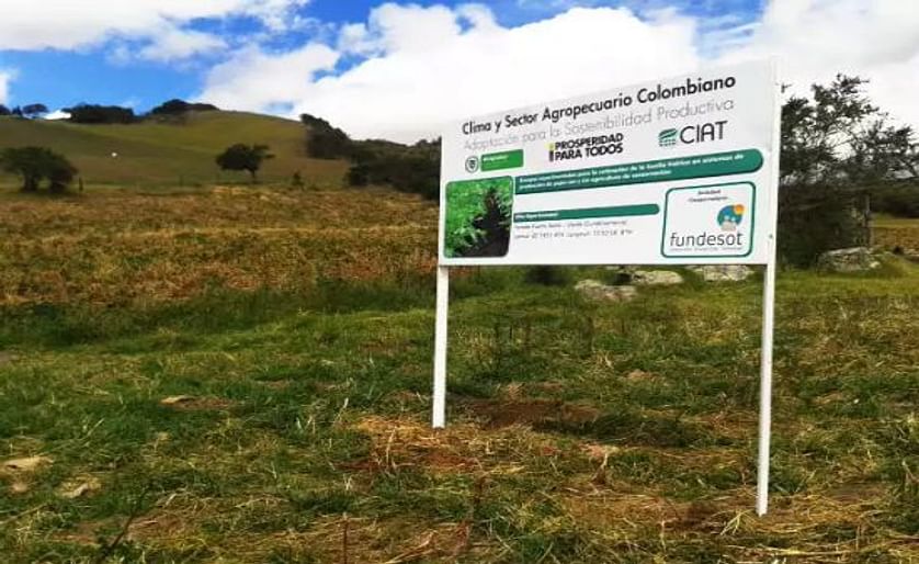 Colombia: Siete beneficios de la agricultura de conservación en el cultivo de la papa