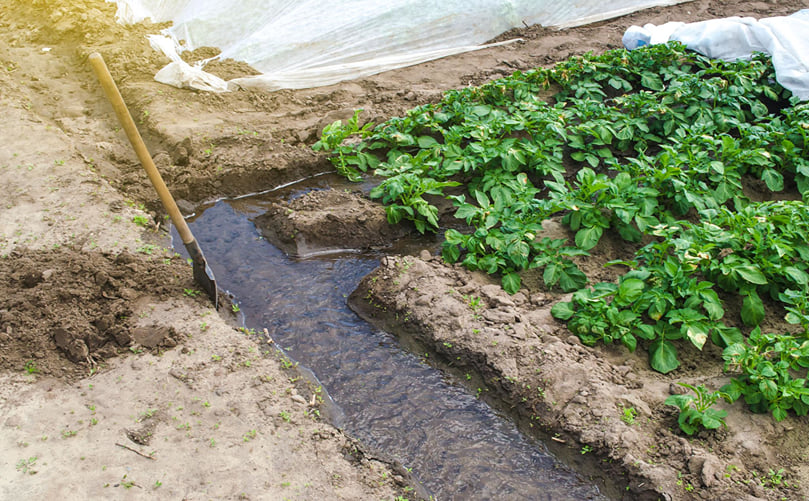 Furrow Irrigation: A Conventional and Cost-Effective Irrigation Method Furrow Irrigation: A Conventional and Cost-Effective Irrigation Method