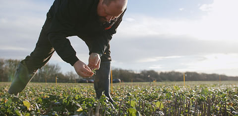 FMC trials show great promise for future of weed control
