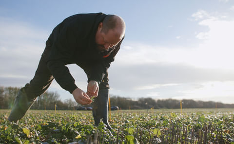 Gareth inspecting the plots Gareth inspecting the plots
