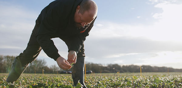 FMC trials show great promise for future of weed control