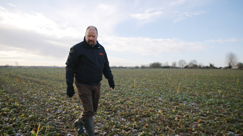 Gareth Jones walking the trial plots Gareth Jones walking the trial plots
