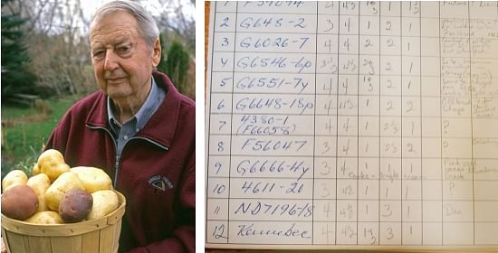 Left: Garnet “Gary” Johnston, the University of Guelph researcher who led a team that cross-bred two varieties to create the Yukon Gold. Right: notes of the trial. Yukon Gold was known at the time as G6666-4y