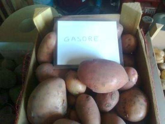 Gasore, nicknamed the "unknown super-potato" (Courtesy: le fermeur) Gasore, nicknamed the "unknown super-potato" (Courtesy: le fermeur)