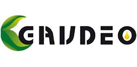 Gavdeo International Gavdeo International