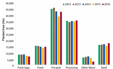 Great Britain estimated planted Area by intended market sector (Source; AHDB) Great Britain estimated planted Area by intended market sector (Source; AHDB)