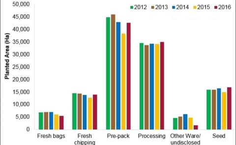 Great Britain estimated planted Area by intended market sector (Source; AHDB) Great Britain estimated planted Area by intended market sector (Source; AHDB)