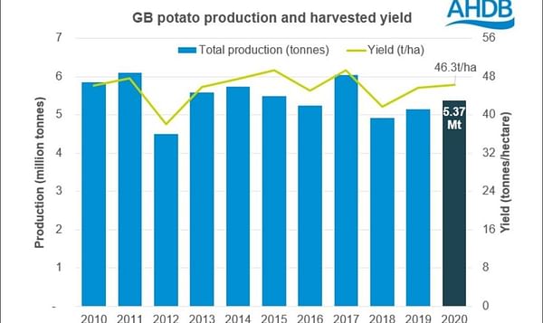 Great Britain potato production increased by 4.1% compared to last season