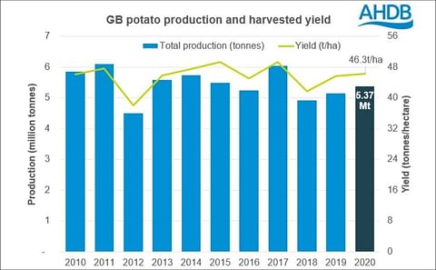 Great Britain potato production increased by 4.1% compared to last season
