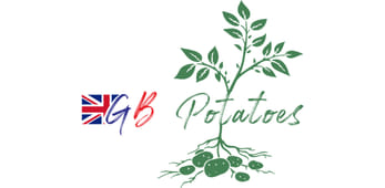 GB Potatoes