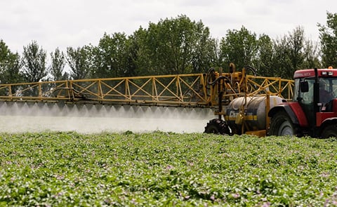 GB Potatoes Joins HCP to Support the British Seed Potato Industry GB Potatoes Joins HCP to Support the British Seed Potato Industry