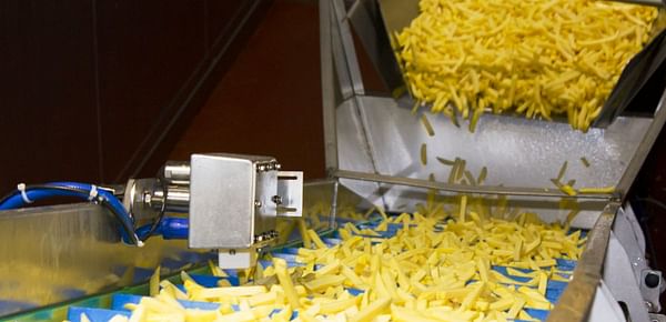 Successful test measurement in french fries production at Bergia Frites in the Netherlands.(Courtesy: GEA / Bergia Frites)