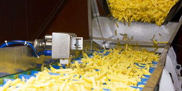 Successful test measurement in french fries production at Bergia Frites in the Netherlands.(Courtesy: GEA / Bergia Frites)