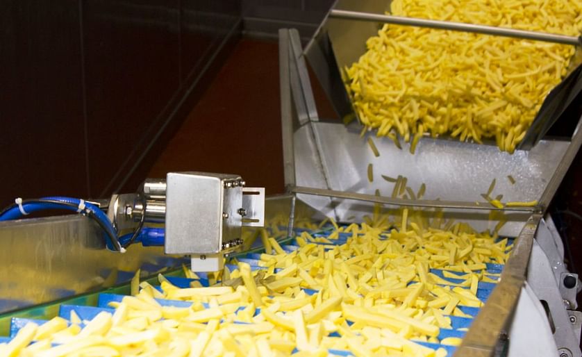 Successful test measurement in french fries production at Bergia Frites in the Netherlands. (Courtesy: GEA / Bergia Frites)