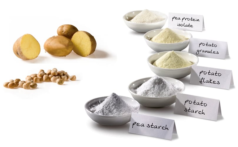 The Emsland Group is a leading developer of innovative product solutions based on renewable raw materials, primarily potatoes. The Emsland Group is a leading developer of innovative product solutions based on renewable raw materials, primarily potatoes.