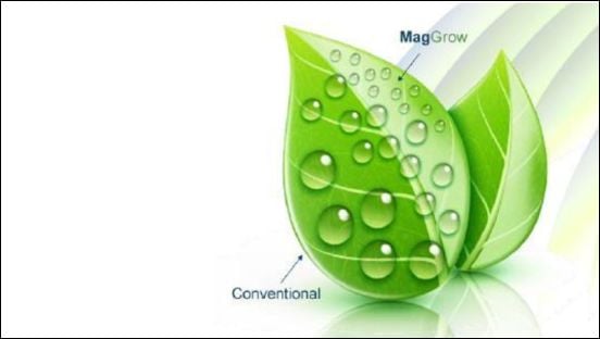 Gebr. Weststrate with MagGrow Gebr. Weststrate with MagGrow