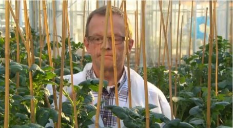 Christian Bachem, who has led the research team, explains how the gene was found and why the variants of the gene, crucial for the timing of tuber development, are of importance to food production. Christian Bachem, who has led the research team, explains how the gene was found and why the variants of the gene, crucial for the timing of tuber development, are of importance to food production.