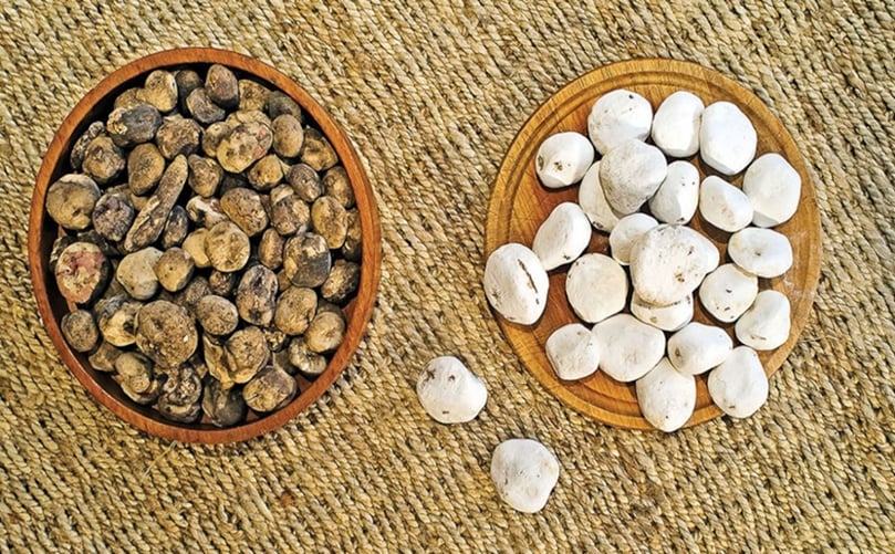 Black and white chuno, an ancient Andean technique, transforms potatoes into a long-lasting freeze dried food CAPTION