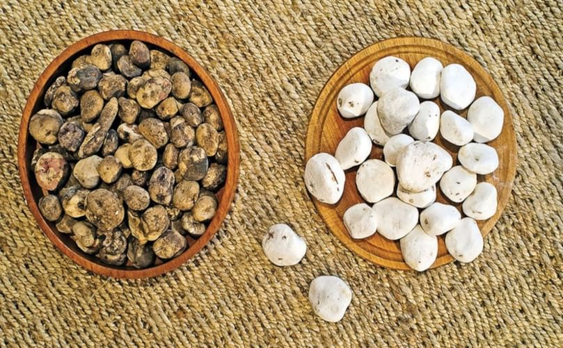 Black and white chuno, an ancient Andean technique, transforms potatoes into a long-lasting freeze dried food CAPTION