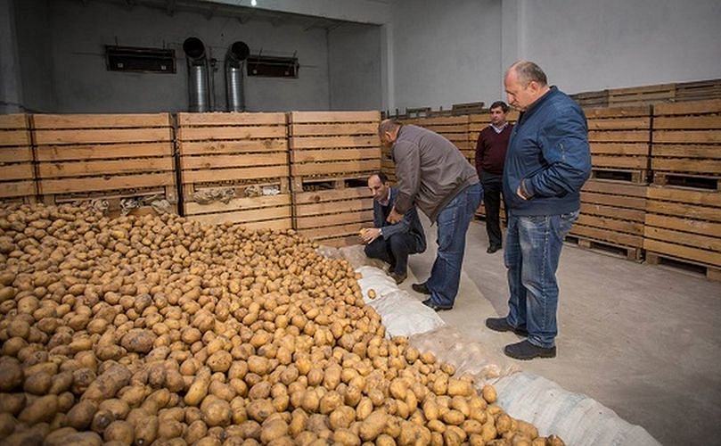 Georgia’s Agriculture Minister Levan Davitashvili visited Georgia's southern town of Akhalkalaki today and met local farmers.