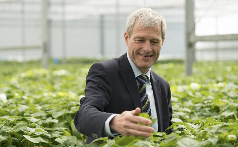 Gerard Backx, the former CEO of Royal HZPC Group Gerard Backx, the former CEO of Royal HZPC Group