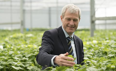 Gerard Backx, CEO of HZPC Holland, was elected as the new chair of the Board of Breeders Trust. Gerard Backx, CEO of HZPC Holland, was elected as the new chair of the Board of Breeders Trust.