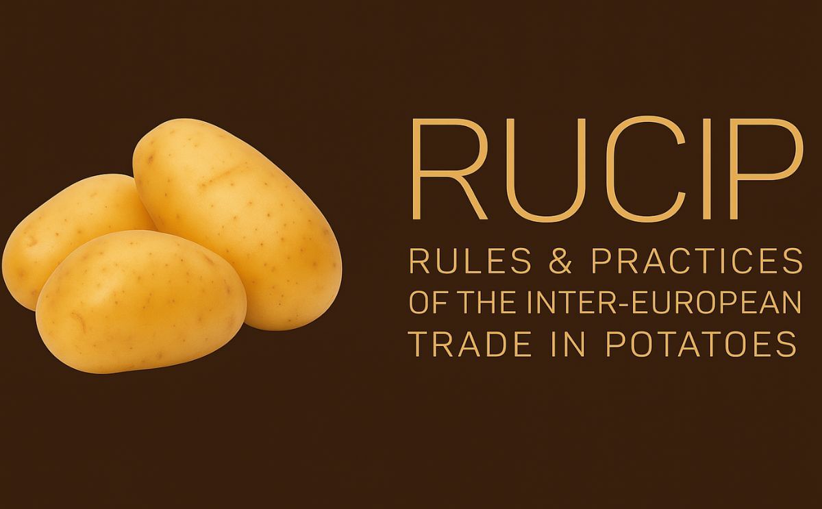 German RUCIP Webinar 2025 highlights updated European potato trade rules