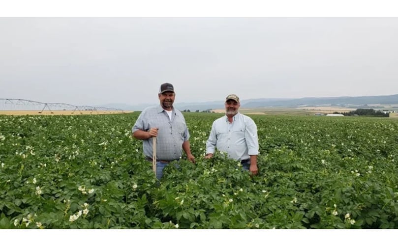 German Seed Source LLC field photo German Seed Source LLC field photo
