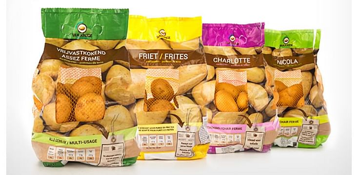Get Potatoed the Brand of Warnez NV