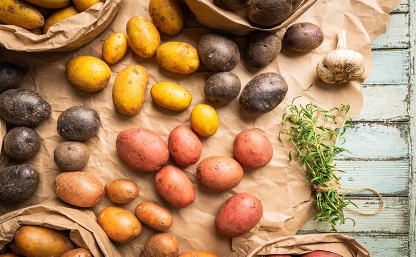 The Difference Between Waxy, Starchy and All-Purpose Potatoes The Difference Between Waxy, Starchy and All-Purpose Potatoes