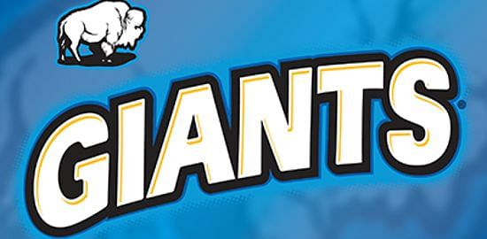 GIANT Snacks Inc