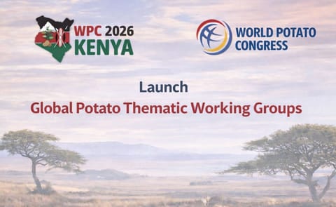 World Potato Congress announces the launch of Global Potato Thematic Working Groups ahead of the 2026 Congress in Kenya, bringing together international experts to strengthen collaboration across research, sustainability, seed systems, aeroponics, and marketing. World Potato Congress announces the launch of Global Potato Thematic Working Groups ahead of the 2026 Congress in Kenya, bringing together international experts to strengthen collaboration across research, sustainability, seed systems, aeroponics, and marketing.